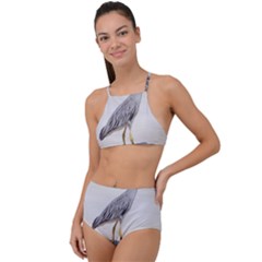 Beach Heron Bird High Waist Tankini Set by TheLazyPineapple