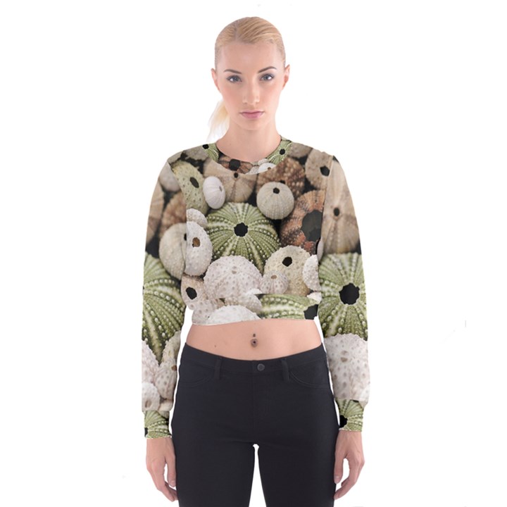 Sea urchins Cropped Sweatshirt