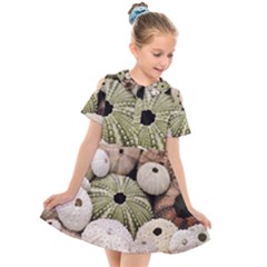 Sea Urchins Kids  Short Sleeve Shirt Dress by TheLazyPineapple