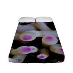 Sea Anemone Fitted Sheet (full/ Double Size) by TheLazyPineapple