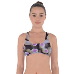 Sea Anemone Got No Strings Sports Bra by TheLazyPineapple