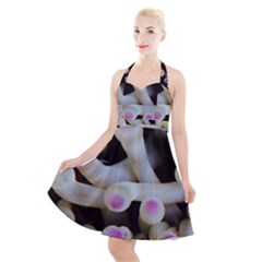 Sea Anemone Halter Party Swing Dress  by TheLazyPineapple