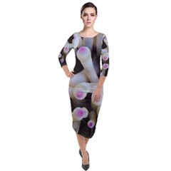 Sea Anemone Quarter Sleeve Midi Velour Bodycon Dress by TheLazyPineapple