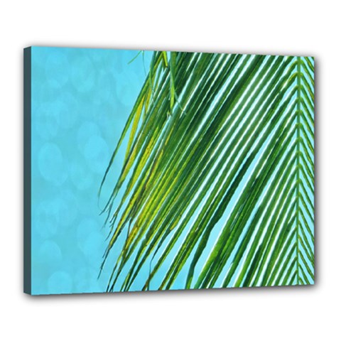 Tropical Palm Canvas 20  X 16  (stretched) by TheLazyPineapple