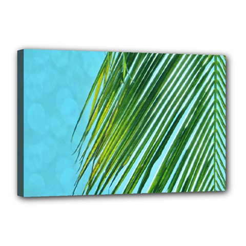 Tropical Palm Canvas 18  X 12  (stretched) by TheLazyPineapple