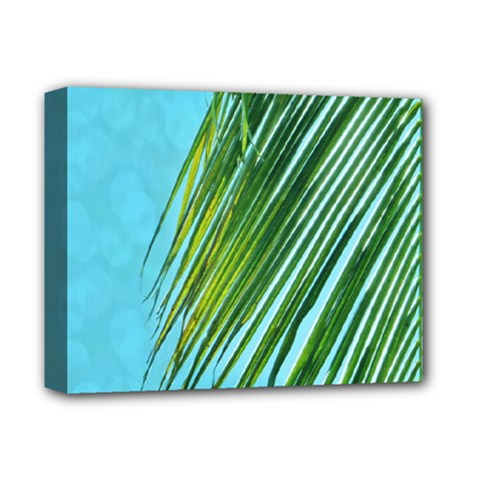 Tropical Palm Deluxe Canvas 14  X 11  (stretched) by TheLazyPineapple