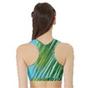 Tropical Palm Sports Bra with Border View2