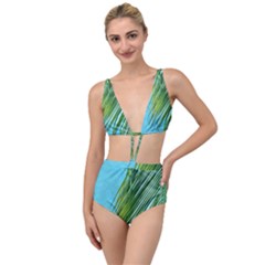 Tropical Palm Tied Up Two Piece Swimsuit by TheLazyPineapple