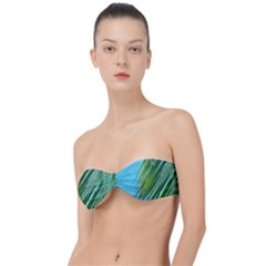 Tropical Palm Classic Bandeau Bikini Top  by TheLazyPineapple