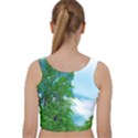 Airbrushed Sky Velvet Racer Back Crop Top View2