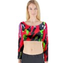 Faberge Chicken 1 3 Long Sleeve Crop Top View1