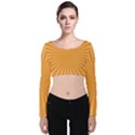 Background Graphic Modern Orange Velvet Long Sleeve Crop Top View1