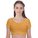 Background Graphic Modern Orange Velvet Short Sleeve Crop Top  View1