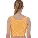 Background Graphic Modern Orange Velvet Racer Back Crop Top View2