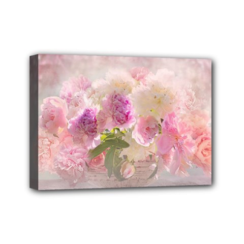 Nature Landscape Flowers Peonie Mini Canvas 7  X 5  (stretched) by Vaneshart