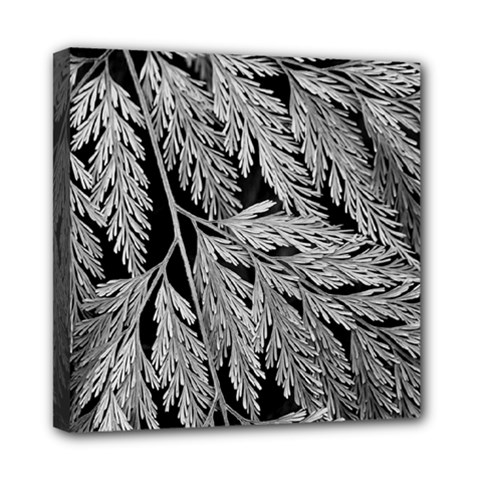 Fern Leaves Foliage Black And White Mini Canvas 8  X 8  (stretched) by Vaneshart