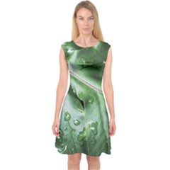 Green Wet Rain Water Drops Plant Capsleeve Midi Dress by Vaneshart