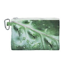 Green Wet Rain Water Drops Plant Canvas Cosmetic Bag (medium) by Vaneshart