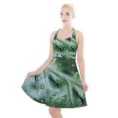 Green Wet Rain Water Drops Plant Halter Party Swing Dress  by Vaneshart