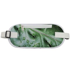 Green Wet Rain Water Drops Plant Rounded Waist Pouch