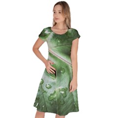 Green Wet Rain Water Drops Plant Classic Short Sleeve Dress