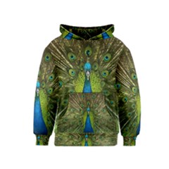 Peacock Feathers Bird Nature Kids  Pullover Hoodie by Vaneshart