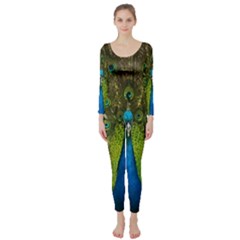 Peacock Feathers Bird Nature Long Sleeve Catsuit by Vaneshart