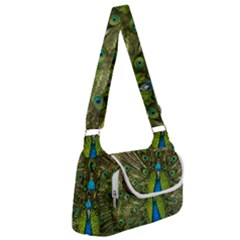 Peacock Feathers Bird Nature Multipack Bag by Vaneshart