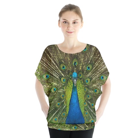 Peacock Feathers Bird Nature Batwing Chiffon Blouse by Vaneshart