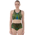 Peacock Feathers Bird Nature Racer Back Bikini Set View1