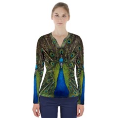 Peacock Feathers Bird Nature V-neck Long Sleeve Top by Vaneshart