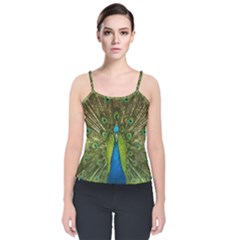 Peacock Feathers Bird Nature Velvet Spaghetti Strap Top by Vaneshart