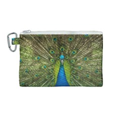 Peacock Feathers Bird Nature Canvas Cosmetic Bag (medium) by Vaneshart