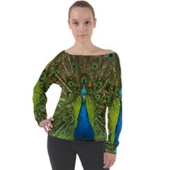 Peacock Feathers Bird Nature Off Shoulder Long Sleeve Velour Top by Vaneshart