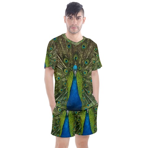 Peacock Feathers Bird Nature Men s Mesh Tee And Shorts Set by Vaneshart