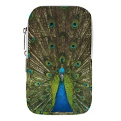 Peacock Feathers Bird Nature Waist Pouch (small) by Vaneshart