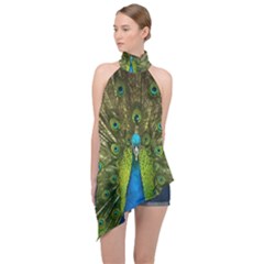 Peacock Feathers Bird Nature Halter Asymmetric Satin Top by Vaneshart