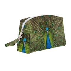 Peacock Feathers Bird Nature Wristlet Pouch Bag (medium) by Vaneshart