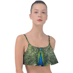 Peacock Feathers Bird Nature Frill Bikini Top