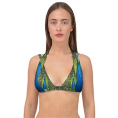 Peacock Feathers Bird Nature Double Strap Halter Bikini Top