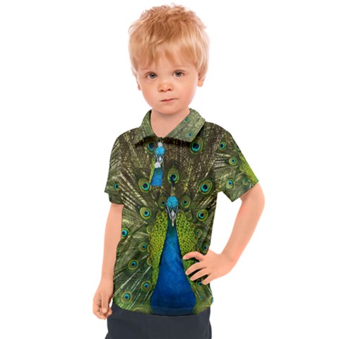 Peacock Feathers Bird Nature Kids  Polo Tee by Vaneshart