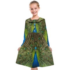 Peacock Feathers Bird Nature Kids  Midi Sailor Dress