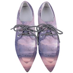 Nature Landscape Winter Women s Pointed Oxford Shoes by Vaneshart