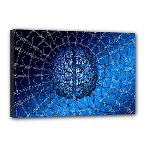 Brain Web Network Spiral Think Canvas 18  X 12  (stretched) by Vaneshart