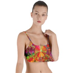 Kaleidoscope Mandala Color Layered Top Bikini Top 