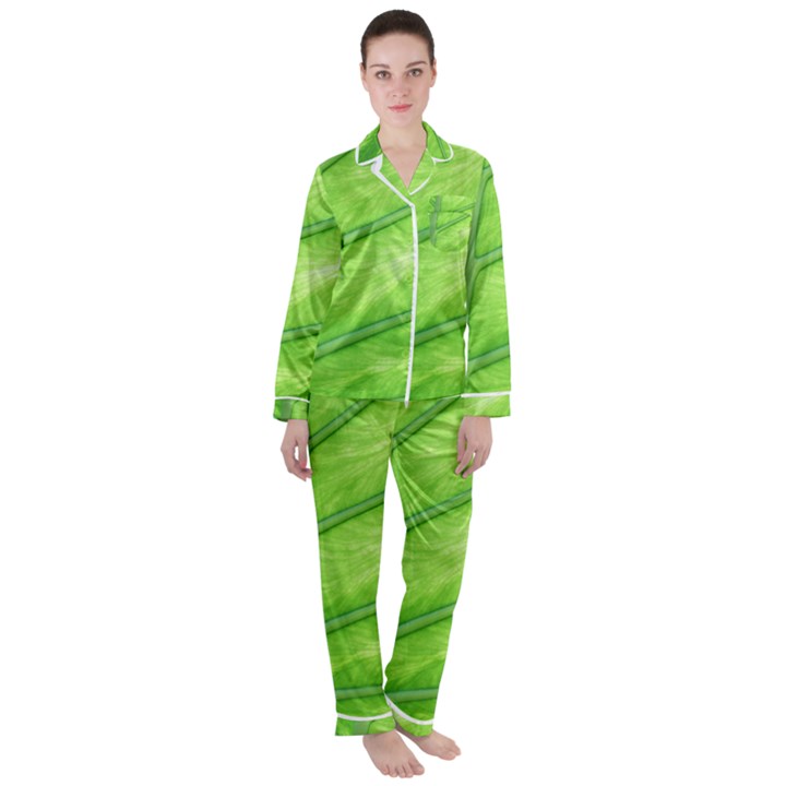 Green Bright Digital Manipulation Satin Long Sleeve Pyjamas Set