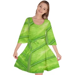 Green Bright Digital Manipulation Velour Kimono Dress by Vaneshart