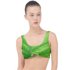 Green Bright Digital Manipulation The Little Details Bikini Top