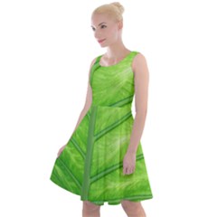 Green Bright Digital Manipulation Knee Length Skater Dress