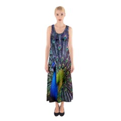 Peacock Colors Bird Colorful Sleeveless Maxi Dress